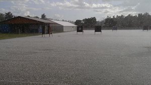 _files_gallery_gallery_17428621.jpg_1024_768