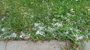 _files_gallery_gallery_17428629.jpg_1024_768